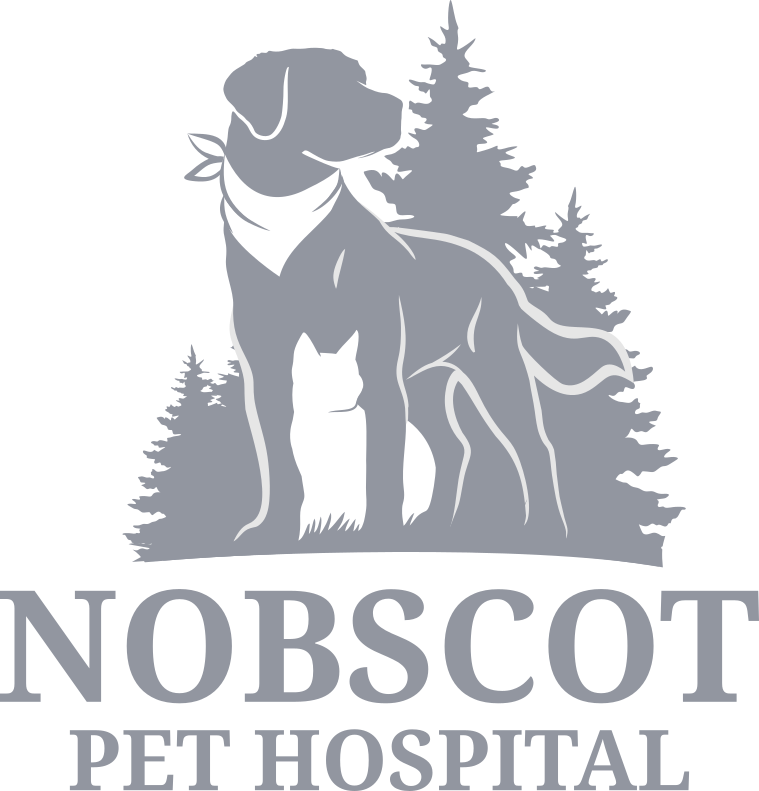 Nobscot Pet Hospital logo is a silhouette of a dog and cat in front of pine tree line.