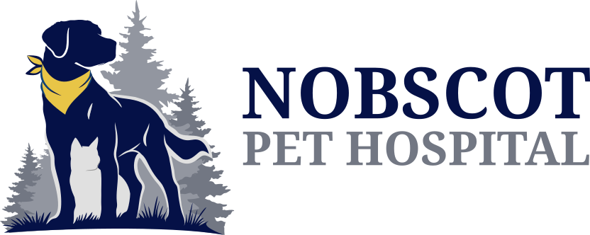 Nobscot Pet Hospital logo is a silhouette of a dog and cat in front of pine tree line.